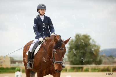 DOMA02032025M-178