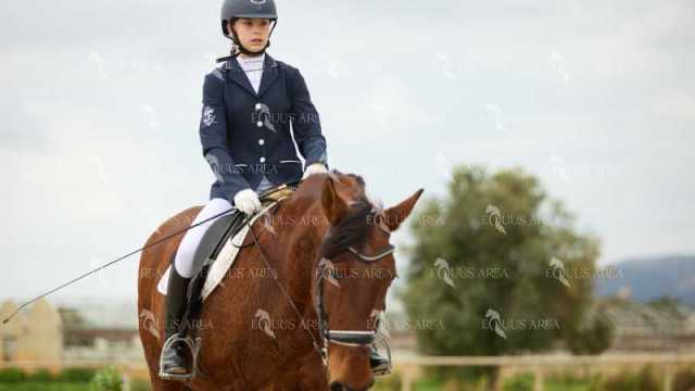DOMA02032025M-178