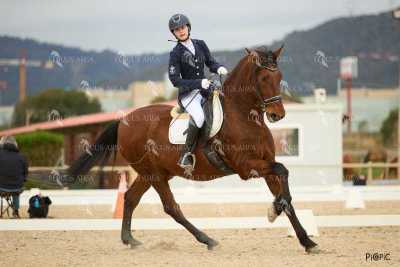 DOMA02032025M-179