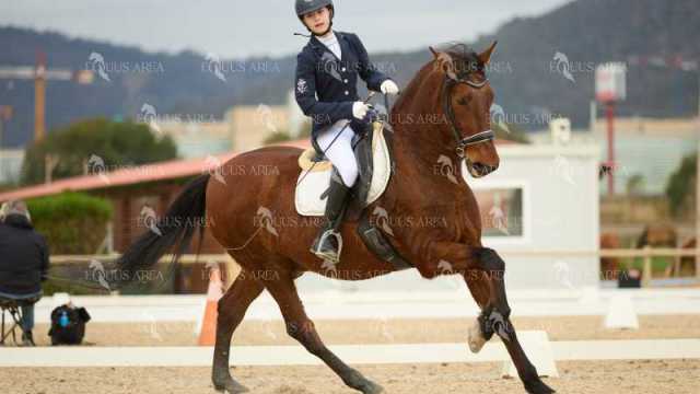 DOMA02032025M-179