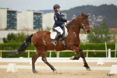 DOMA02032025M-180