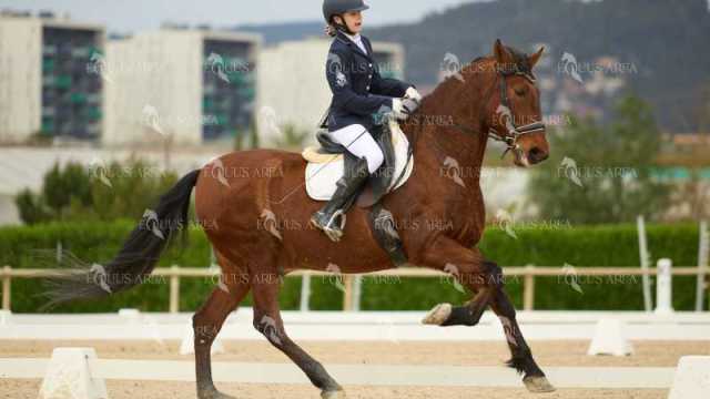 DOMA02032025M-180