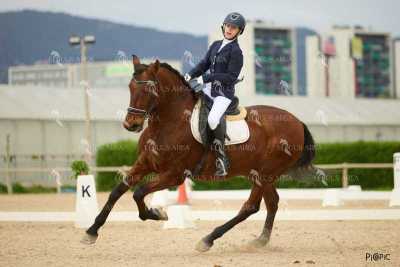 DOMA02032025M-181