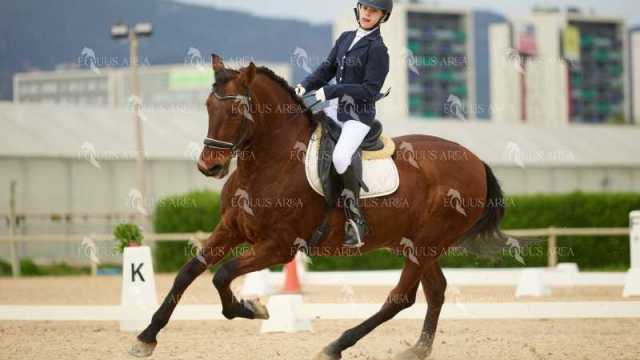 DOMA02032025M-181