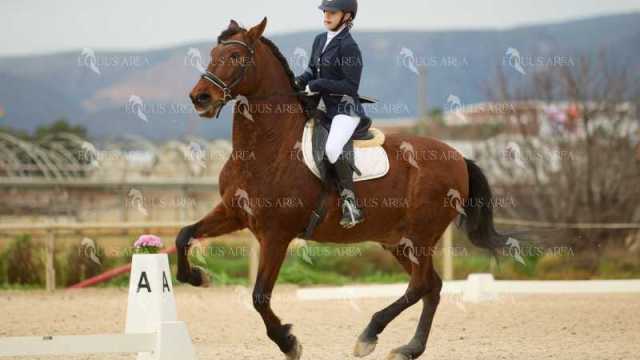 DOMA02032025M-182