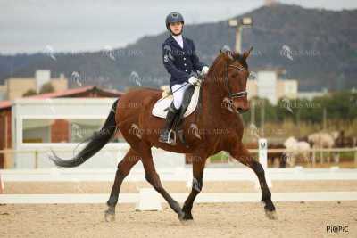 DOMA02032025M-183