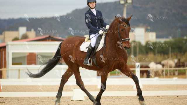 DOMA02032025M-183