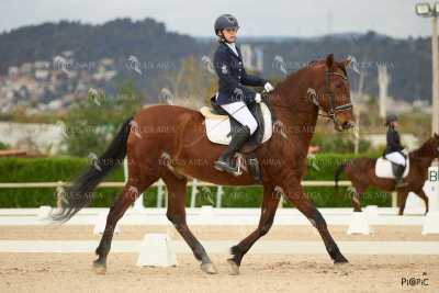 DOMA02032025M-184