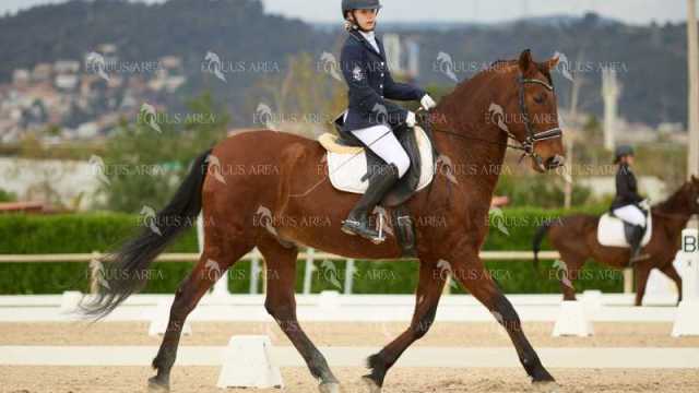 DOMA02032025M-184