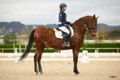 DOMA02032025M-185