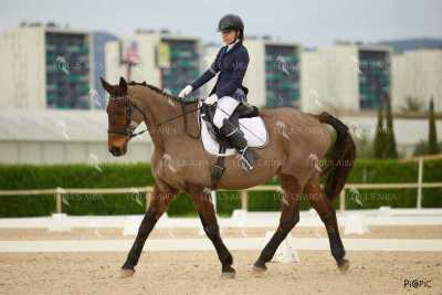 DOMA02032025M-186