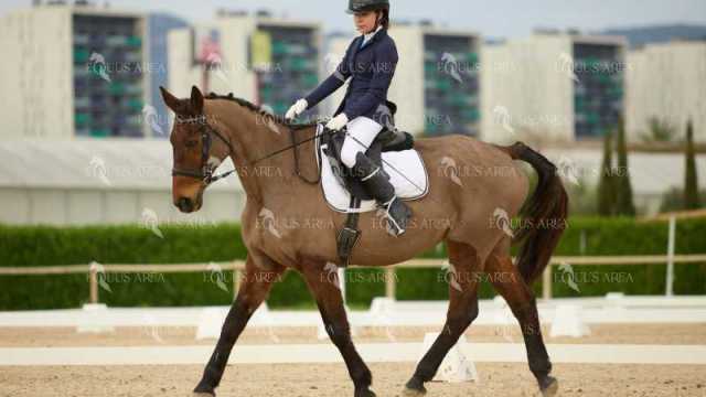 DOMA02032025M-186