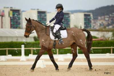 DOMA02032025M-187