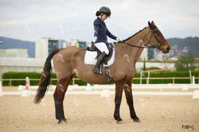 DOMA02032025M-188