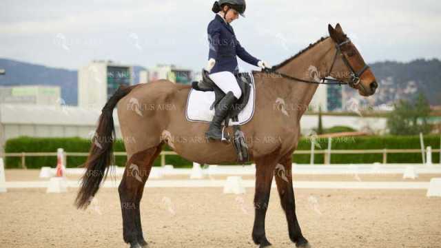 DOMA02032025M-188