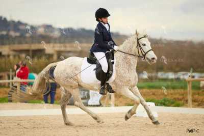 DOMA02032025M-189