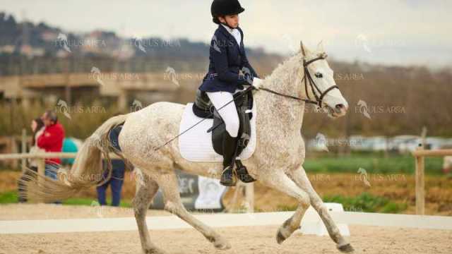 DOMA02032025M-189