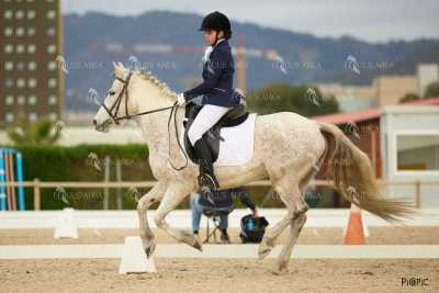 DOMA02032025M-190