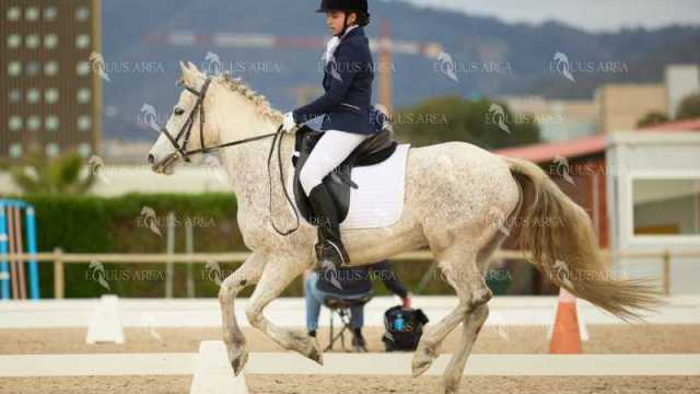 DOMA02032025M-190