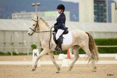DOMA02032025M-191