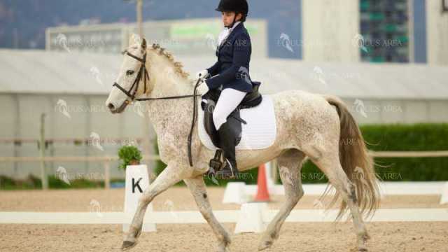 DOMA02032025M-191