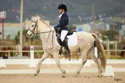 DOMA02032025M-192