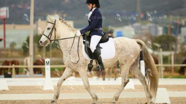 DOMA02032025M-192
