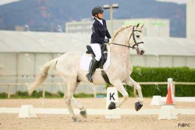 DOMA02032025M-193