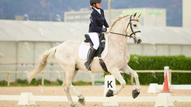 DOMA02032025M-193