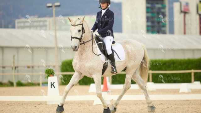 DOMA02032025M-195