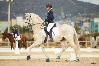 DOMA02032025M-196