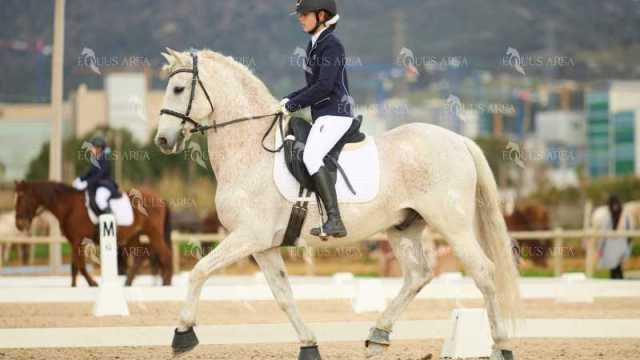 DOMA02032025M-196
