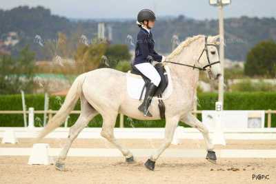 DOMA02032025M-197