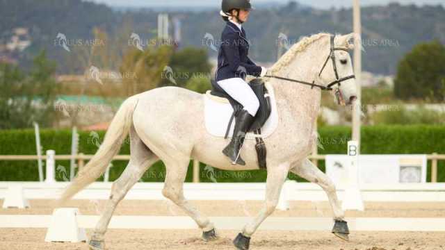DOMA02032025M-197