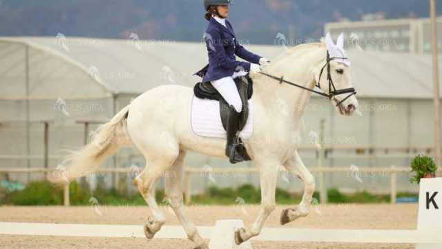 DOMA02032025M-199