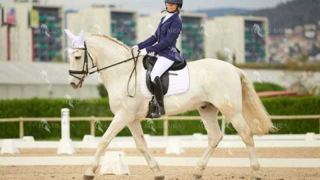 DOMA02032025M-200