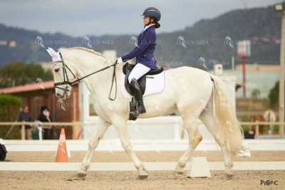 DOMA02032025M-201