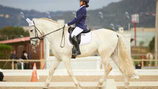 DOMA02032025M-201