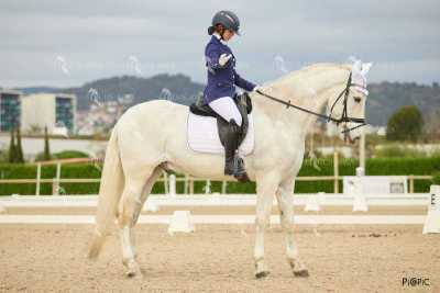 DOMA02032025M-202