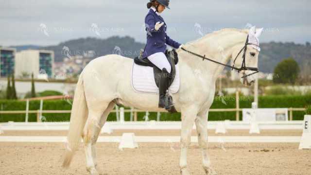DOMA02032025M-202