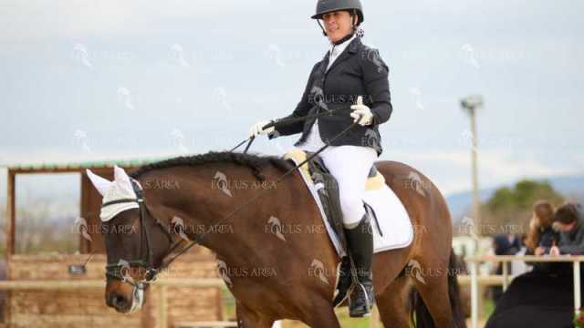 DOMA02032025M-204