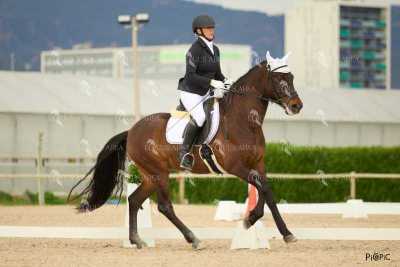 DOMA02032025M-205