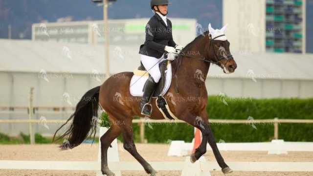 DOMA02032025M-205
