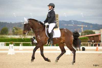DOMA02032025M-206