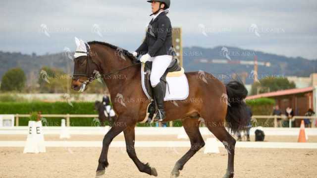DOMA02032025M-206