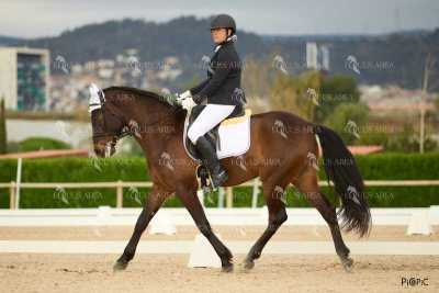 DOMA02032025M-207