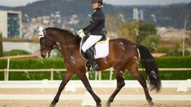 DOMA02032025M-207