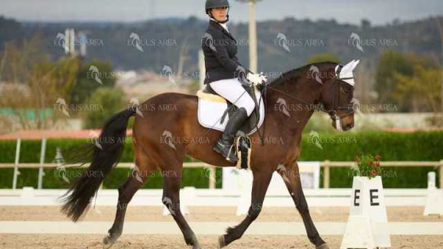 DOMA02032025M-209