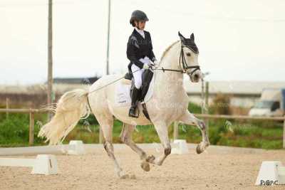 DOMA02032025M-210