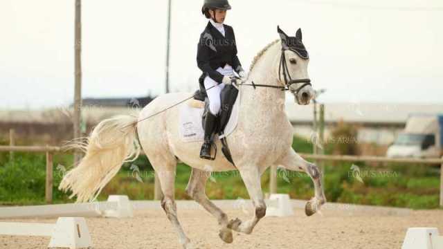 DOMA02032025M-210